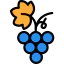 Grapes icon 64x64