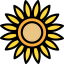 Sunflower アイコン 64x64