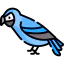 Parrot icon 64x64