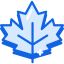 Maple leaf icon 64x64