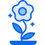 Daisy icon 64x64