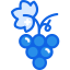 Grapes icon 64x64