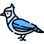 Bird icon 64x64