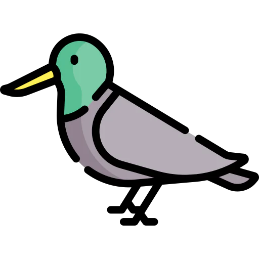 Bird icon