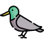 Bird icon 64x64