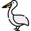 Pelican icon 64x64