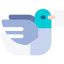 Pigeon icon 64x64