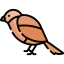 Sparrow icon 64x64