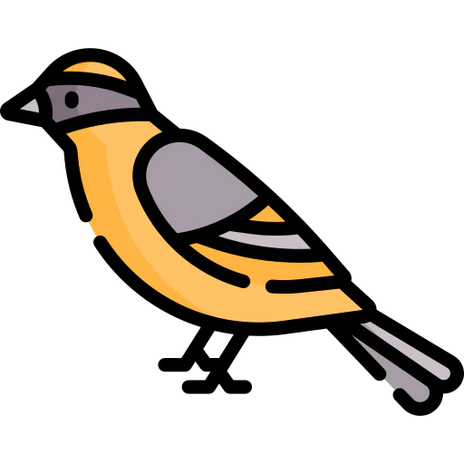 Bird icon