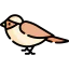 Sparrow icon 64x64