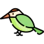 Hummingbird icon 64x64
