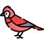 Cardinal icon 64x64