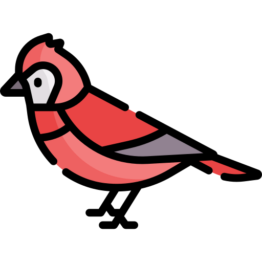Cardinal icon