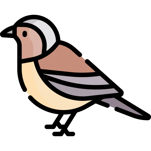 Bird icon