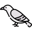 Dove icon 64x64