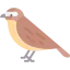Nightingale icon 64x64