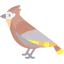 Bird icon 64x64