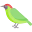 Woodpecker icon 64x64