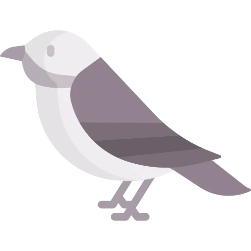 Bird icon