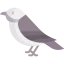 Bird icon 64x64