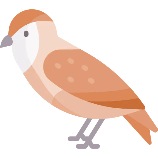 Owl icon