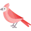 Cardinal icon 64x64