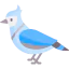 Bird icon 64x64
