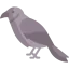 Crow icon 64x64