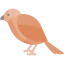 Sparrow icon 64x64