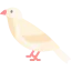 Sparrow icon 64x64