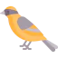 Bird icon 64x64