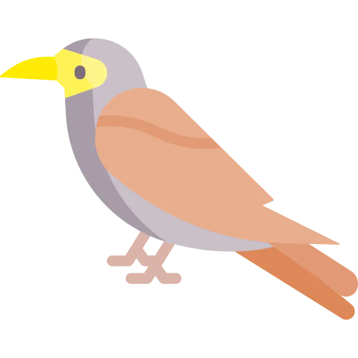 Bird icon