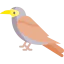 Bird icon 64x64