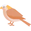 Sparrow icon 64x64