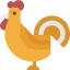 Chicken icon 64x64