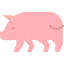 Pork icon 64x64