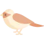 Sparrow icon 64x64