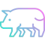 Pork icon 64x64