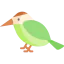 Hummingbird icon 64x64