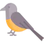 Bird icon 64x64