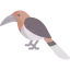 Hornbill icon 64x64