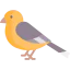 Robin icon 64x64