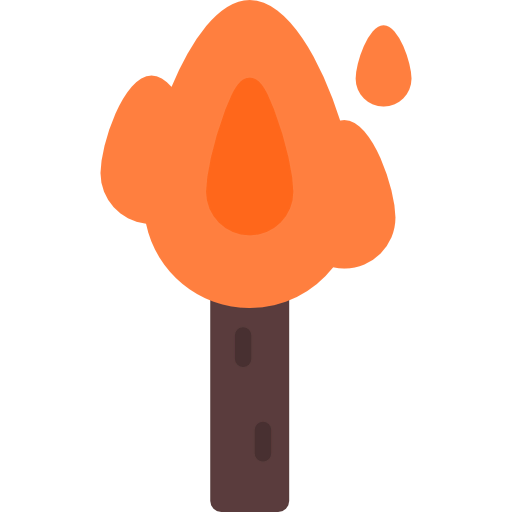 Torch Symbol
