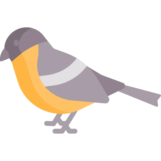 Bird icon