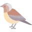 Bird icon 64x64