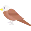 Eagle icon 64x64