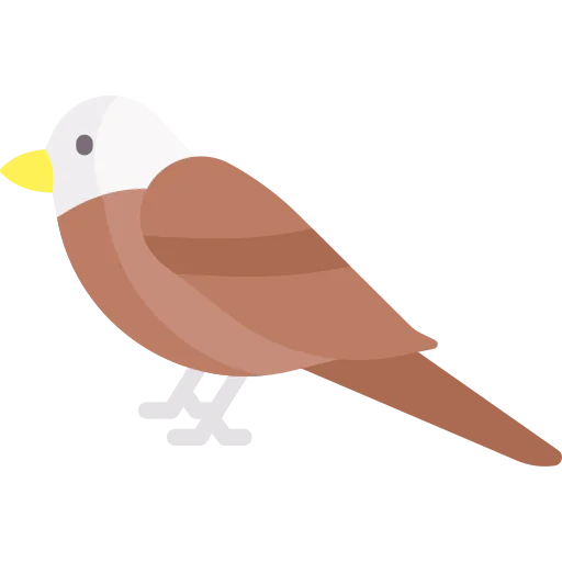 Eagle icon