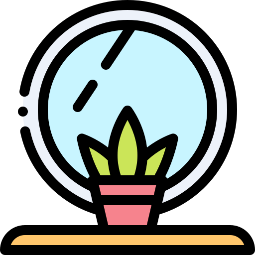 Mirror icon