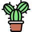 Cactus icon 64x64