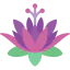 Lotus icon 64x64
